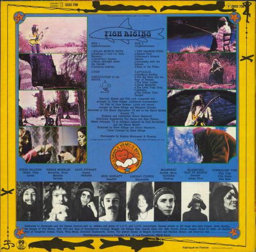 Steve Hillage Fish Rising vinyl LP album (LP record) French LLGLPFI803752