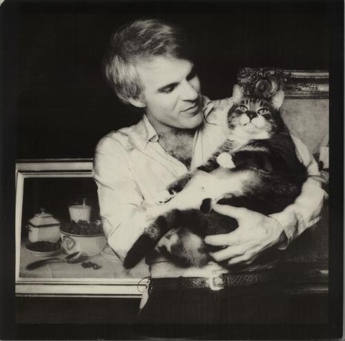 Steve Martin A Wild And Crazy Guy + Insert vinyl LP album (LP record) UK SM3LPAW645343