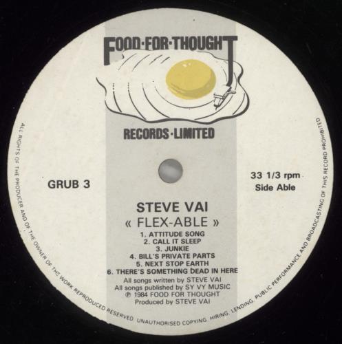Steve Vai Flex-Able - EX vinyl LP album (LP record) UK VAILPFL721451