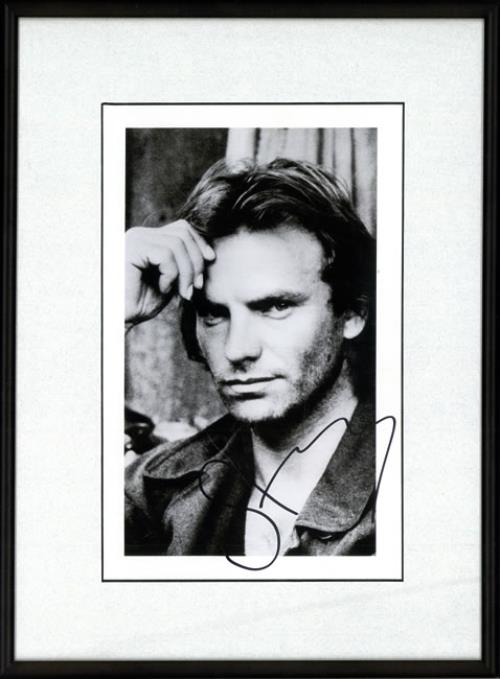 Sting Framed Autographed Publicity Photograph memorabilia US STIMMFR475946