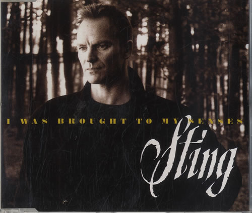 Sting I Was Brought To My Senses CD single (CD5 / 5") German STIC5IW174051