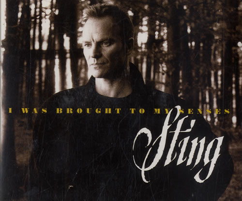 Sting I Was Brought To My Senses CD single (CD5 / 5") UK STIC5IW82253