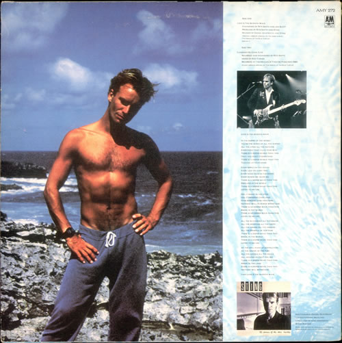 Sting Love Is The Seventh Wave + Poster 12" vinyl single (12 inch record / Maxi-single) UK STI12LO155500