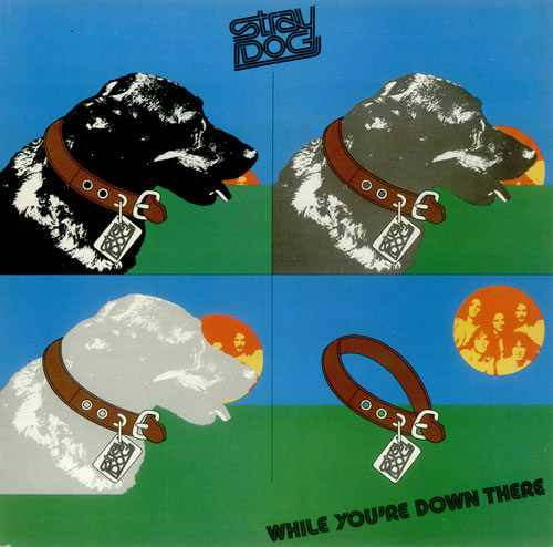 Stray Dog While You're Down There vinyl LP album (LP record) UK YDGLPWH149478