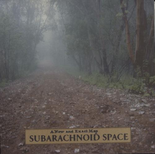 SubArachnoid Space A New And Exact Map vinyl LP album (LP record) German 0UBLPAN727265