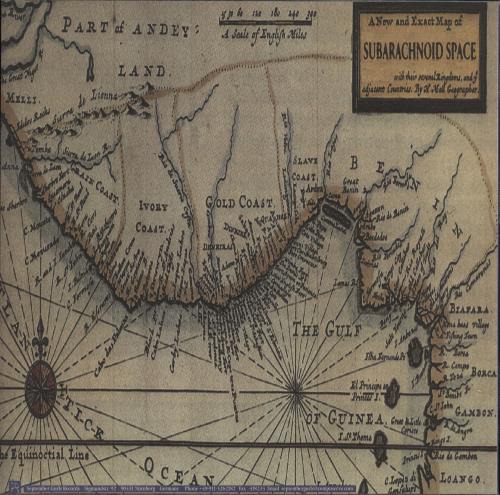 SubArachnoid Space A New And Exact Map vinyl LP album (LP record) German 0UBLPAN727265