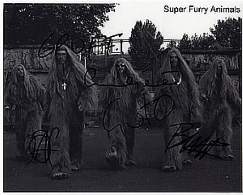 Super Furry Animals Autographed Publicity Photograph photograph UK SFAPHAU261674