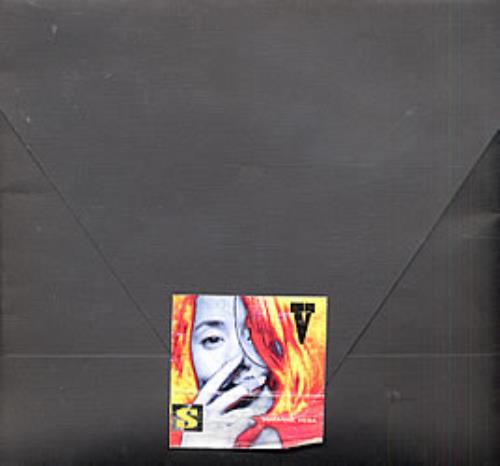 Suzanne Vega In Her Own Words media press kit UK VEGKIIN233399