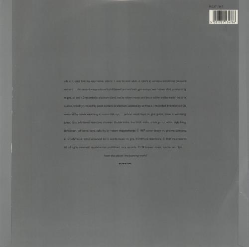 Swans Can't Find My Way Home 12" vinyl single (12 inch record / Maxi-single) UK SWN12CA870417