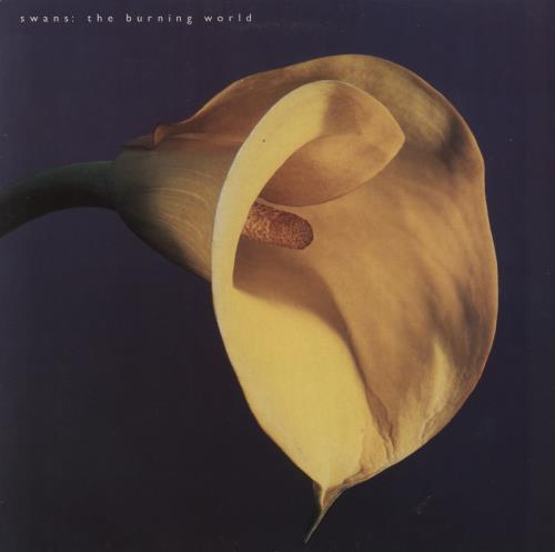 Swans The Burning World - VG vinyl LP album (LP record) UK SWNLPTH829376