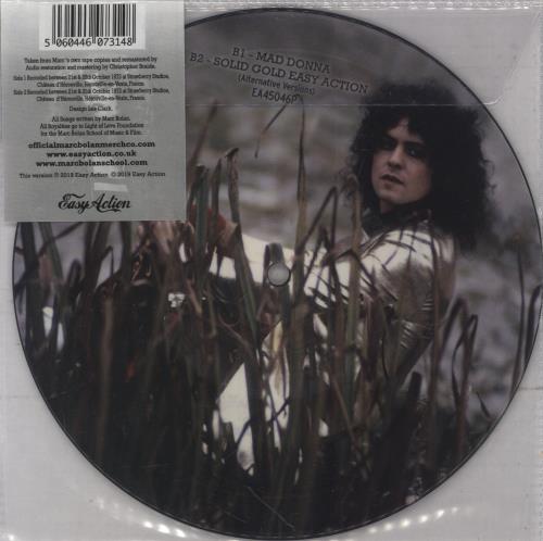 T-Rex / Tyrannosaurus Rex Born To Boogie 7" vinyl picture disc (7 inch picture disc single) UK REX7PBO861796