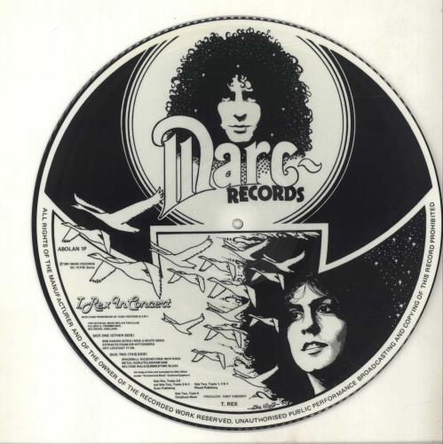 T-Rex / Tyrannosaurus Rex In Concert picture disc LP (vinyl picture disc album) UK REXPDIN323253