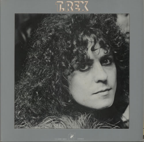 T-Rex / Tyrannosaurus Rex Portrait Of T-Rex + Colour Portrait vinyl LP album (LP record) Japanese REXLPPO552596