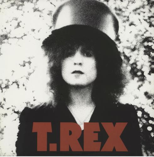 T-Rex / Tyrannosaurus Rex The Slider - 180gram vinyl LP album (LP record) UK REXLPTH750644