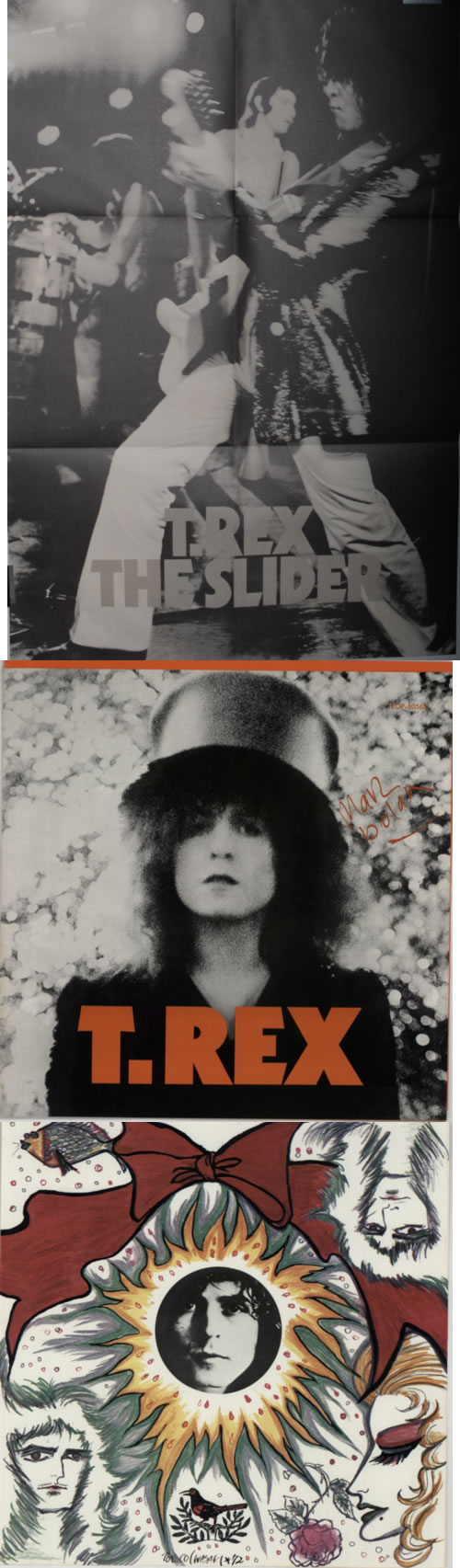 T-Rex / Tyrannosaurus Rex The Slider vinyl LP album (LP record) Japanese REXLPTH258255