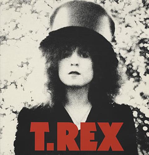 T-Rex / Tyrannosaurus Rex The Slider vinyl LP album (LP record) UK REXLPTH314503