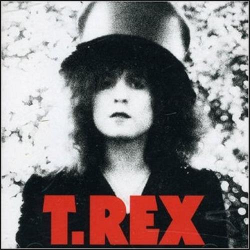 T-Rex / Tyrannosaurus Rex The Slider SHM CD Japanese REXHMTH475276