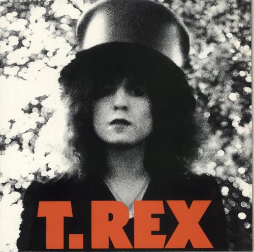 T-Rex / Tyrannosaurus Rex The Slider vinyl LP album (LP record) UK REXLPTH592340