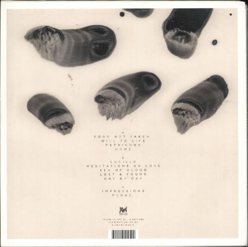 Tall Ships Impressions + Etching + Screen Print vinyl LP album (LP record) UK Y5YLPIM709974