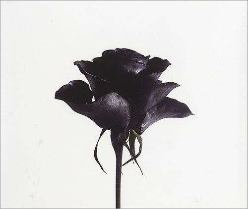 Temposhark It's Better To Have Loved CD single (CD5 / 5") UK TEJC5IT435566