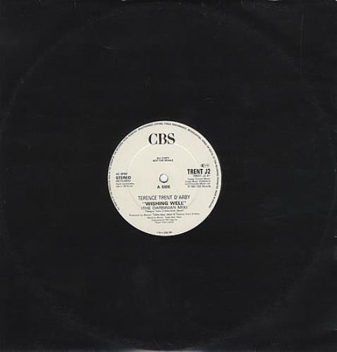 Terence Trent D'Arby Wishing Well 12" vinyl single (12 inch record / Maxi-single) UK TTD12WI233666