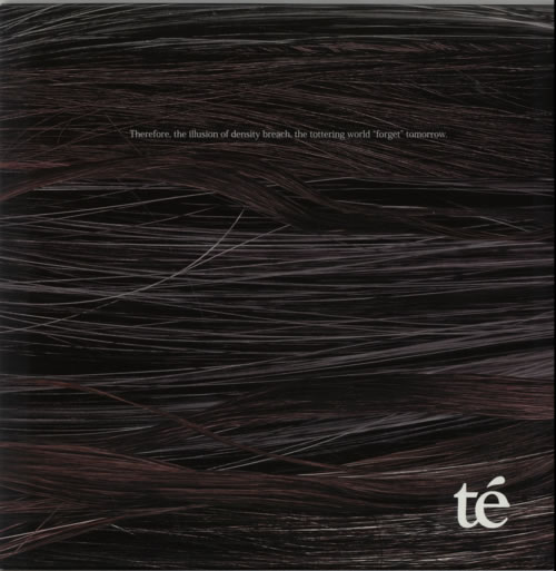 Te Therefore, The Illusion Of Density Breach vinyl LP album (LP record) UK WVCLPTH615839