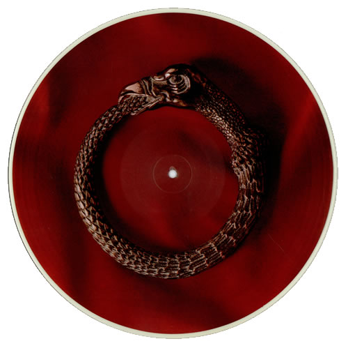 The Alan Parsons Project Vulture Culture picture disc LP (vinyl picture disc album) US TPPPDVU481162