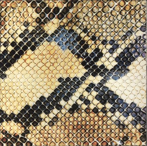 The Amazing Snakeheads Amphetamine Ballads vinyl LP album (LP record) UK X4SLPAM855552