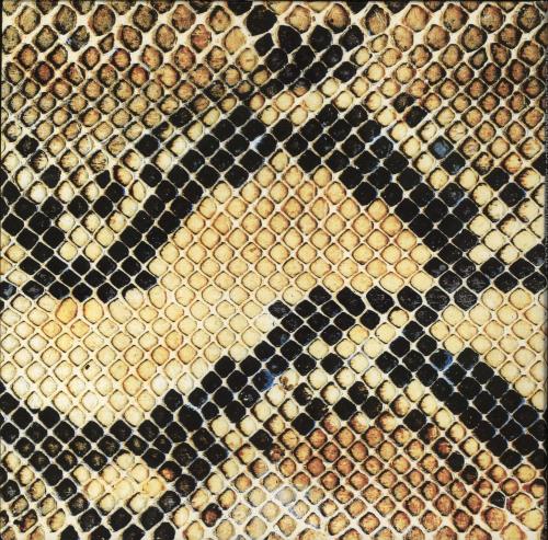 The Amazing Snakeheads Amphetamine Ballads vinyl LP album (LP record) UK X4SLPAM855552