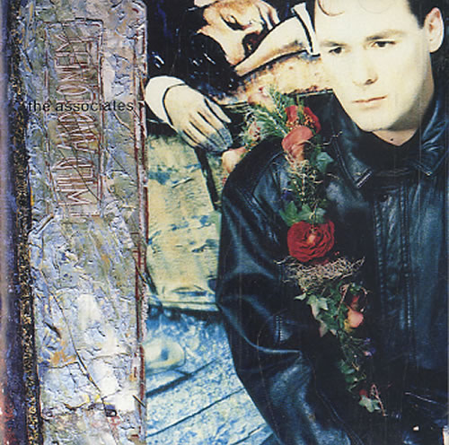 The Associates Wild And Lonely CD album (CDLP) UK ATSCDWI134679