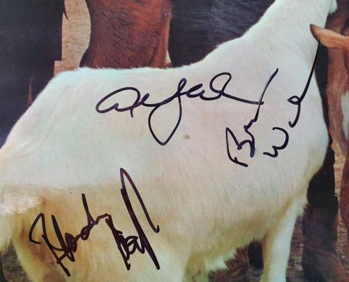 The Beach Boys Pet Sounds - Autographed + Extras vinyl LP album (LP record) UK BBOLPPE747480