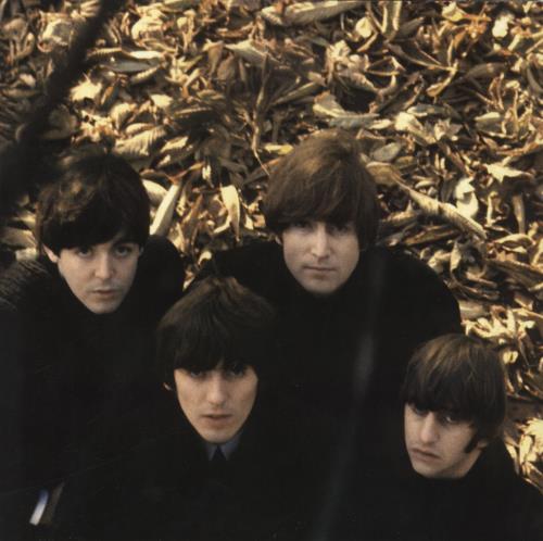 The Beatles Beatles For Sale - 180 Gram Vinyl vinyl LP album (LP record) UK BTLLPBE811051