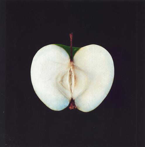 The Beatles Hey Jude + Insert 12" vinyl picture disc (12 inch picture record) UK BTL2PHE25215