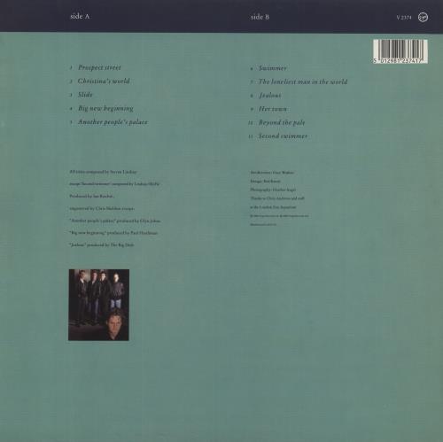 The Big Dish Swimmer vinyl LP album (LP record) UK BGDLPSW131981