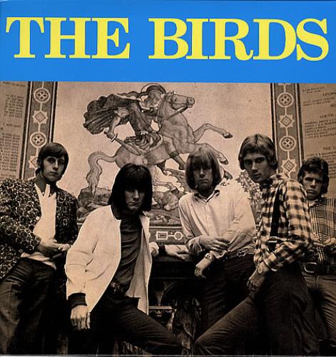 The Birds The Birds vinyl LP album (LP record) German TBILPTH347531