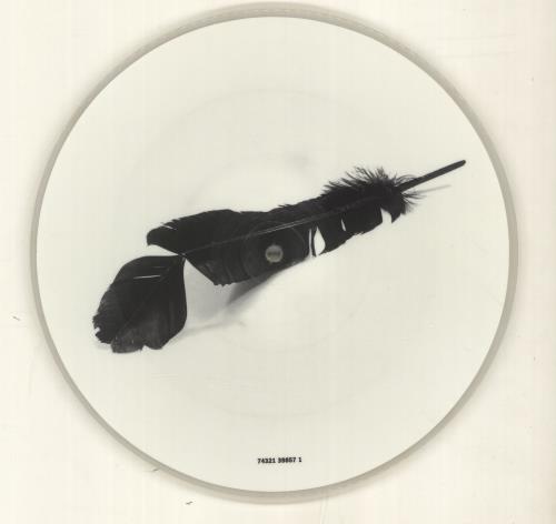 The Black Crowes One Mirror Too Many 10" Vinyl Picture Disc (10 inch Record Single) UK CRW1PON164359