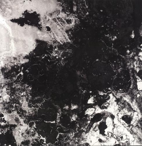 The Black Queen Fever Daydream - Transparent Black Vinyl 2-LP vinyl record set (Double LP Album) UK 4JN2LFE862914