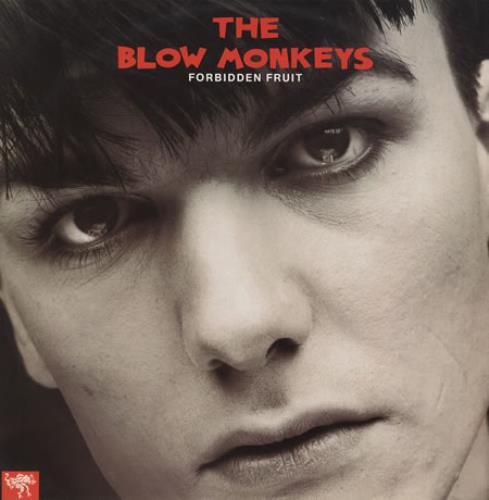 The Blow Monkeys Forbidden Fruit 12" vinyl single (12 inch record / Maxi-single) UK BLM12FO245204
