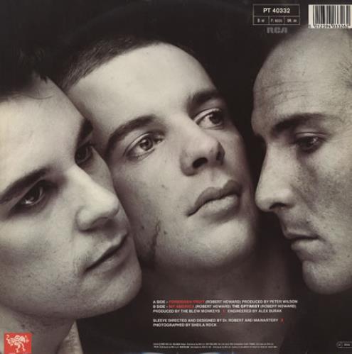 The Blow Monkeys Forbidden Fruit 12" vinyl single (12 inch record / Maxi-single) UK BLM12FO245204