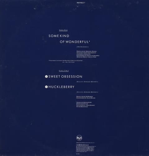 The Blow Monkeys Some Kind Of Wonderful 12" vinyl single (12 inch record / Maxi-single) UK BLM12SO83422