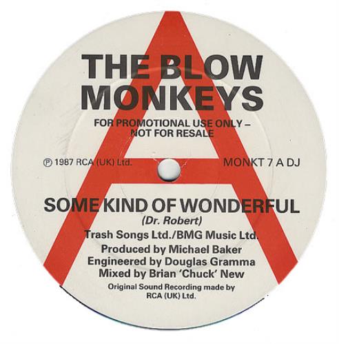 The Blow Monkeys Some Kind Of Wonderful 12" vinyl single (12 inch record / Maxi-single) UK BLM12SO98442