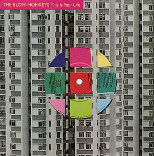 The Blow Monkeys This Is Your Life 7" vinyl single (7 inch record / 45) UK BLM07TH106218