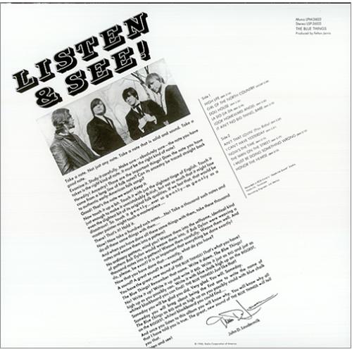 The Blue Things The Blue Things vinyl LP album (LP record) US LU2LPTH420715