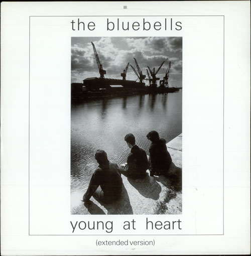 The Bluebells Young At Heart 12" vinyl single (12 inch record / Maxi-single) UK BBL12YO50997