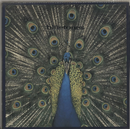 The Bluetones Expecting To Fly - EX vinyl LP album (LP record) UK BTOLPEX597663