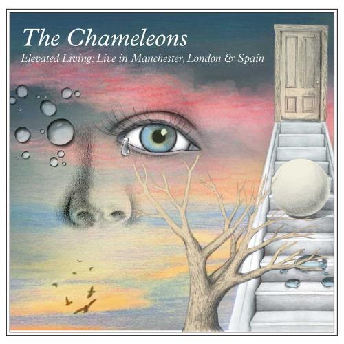 The Chameleons Elevated Living: Live In Manchester, London And Spain - Sealed 3-disc CD/DVD Set UK CML3DEL792803