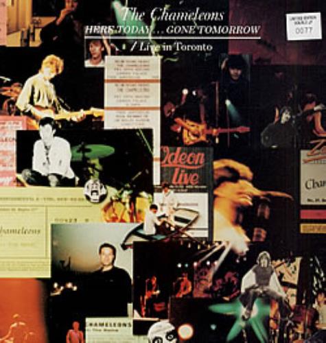 The Chameleons Here Today Gone Tomorrow + Live In Toronto 2-LP vinyl record set (Double LP Album) UK CML2LHE04877