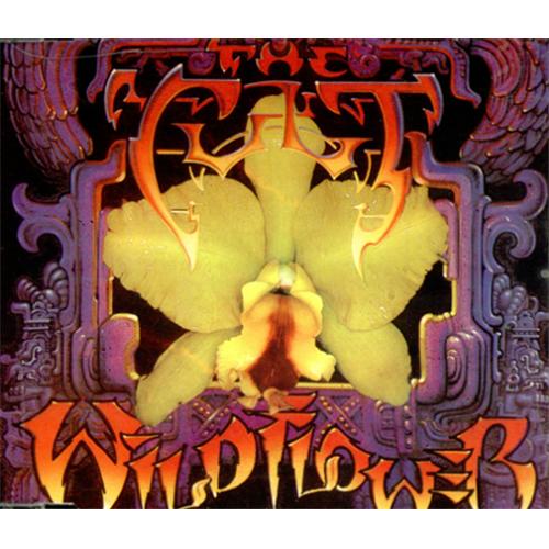 The Cult Wildflower CD single (CD5 / 5") Australian CLTC5WI05312