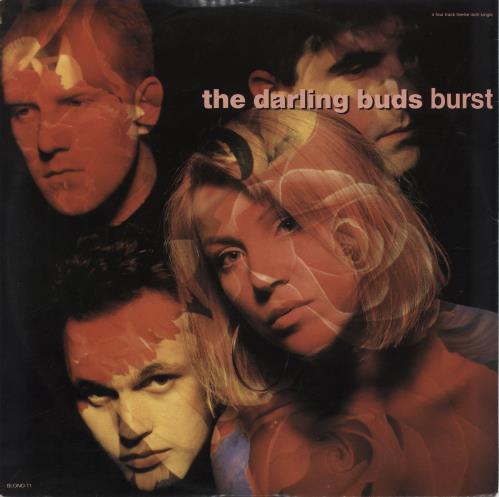 The Darling Buds Burst 12" vinyl single (12 inch record / Maxi-single) UK DBD12BU242139