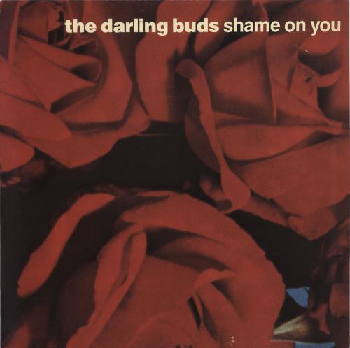 The Darling Buds Shame On You 12" vinyl single (12 inch record / Maxi-single) UK DBD12SH152685